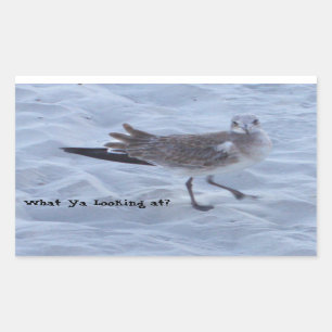 Zeemeeuw op het strand Stickers