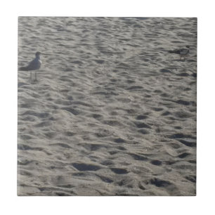 Zeemeeuw op het Strand van de Cacao Tegeltje