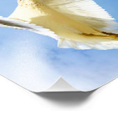 Zeemeeuw op het strand Vogelfotografie Foto Afdruk (Hoek)