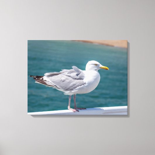 Zeemeeuw op leuningen uitzicht canvas print (Voorkant)