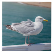 Zeemeeuw op leuningen uitzicht keramische tegel tegeltje (Voorkant)