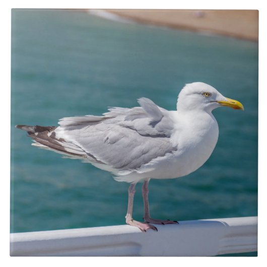 Zeemeeuw op leuningen uitzicht keramische tegel tegeltje (Voorkant)