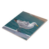 Zeemeeuw op leuningen uitzicht keramische tegel tegeltje (Zijkant)