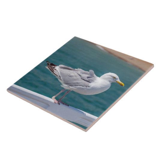 Zeemeeuw op leuningen uitzicht keramische tegel tegeltje (Zijkant)