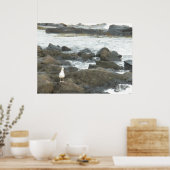 Zeemeeuw op rotsen poster (Keuken)