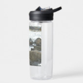 Zeemeeuw op rotsen waterfles (Links)