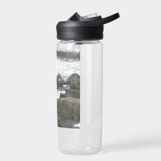 Zeemeeuw op rotsen waterfles (Links)