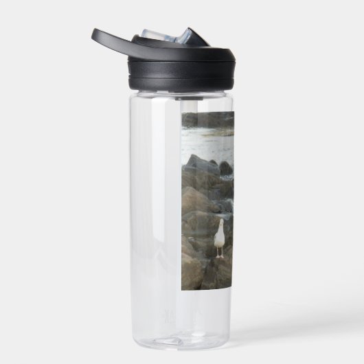 Zeemeeuw op rotsen waterfles (Rechts)