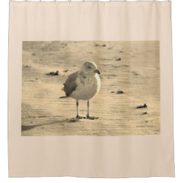 Zeemeeuw op strand douchegordijn
