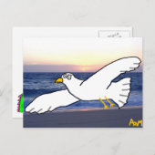 Zeemeeuw over de baai briefkaart (Voorkant / Achterkant)
