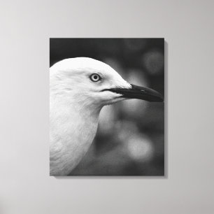 Zeemeeuw portret canvas afdruk