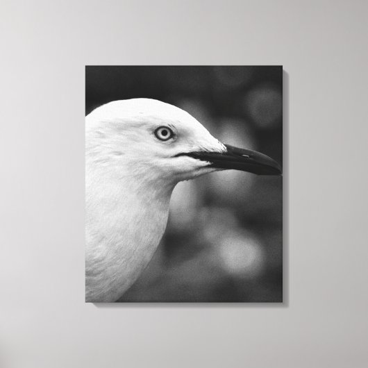 Zeemeeuw portret canvas afdruk (Voorkant)