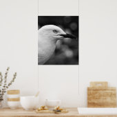 Zeemeeuw portret poster (Keuken)