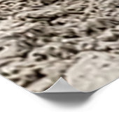 zeemeeuw poster (Hoek)