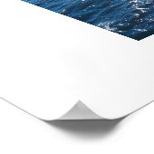 zeemeeuw poster (Hoek)