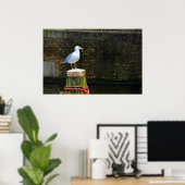 zeemeeuw poster (Thuiskantoor)