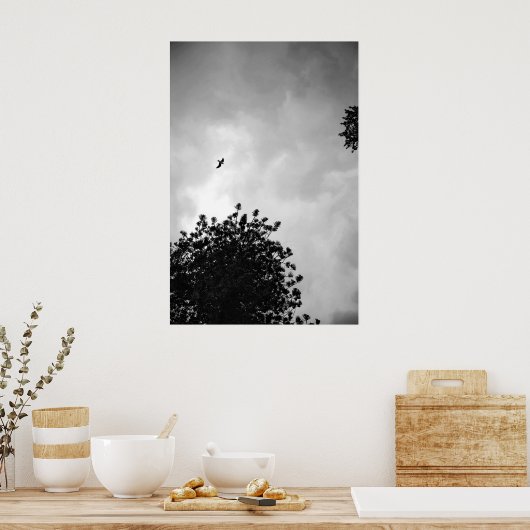 zeemeeuw poster (Keuken)