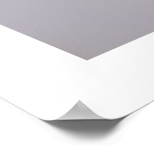 zeemeeuw poster (Hoek)