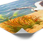 zeemeeuw poster (Hoek)