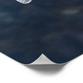 Zeemeeuw Poster 4 (Hoek)