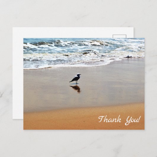 Zeemeeuw Reflectie, Zand en Ocean Beach Bedankt Briefkaart (Voorkant / Achterkant)