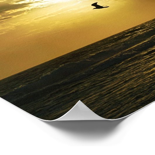 Zeemeeuw stijgt in de zonsondergang Vogelfotografi Poster (Hoek)