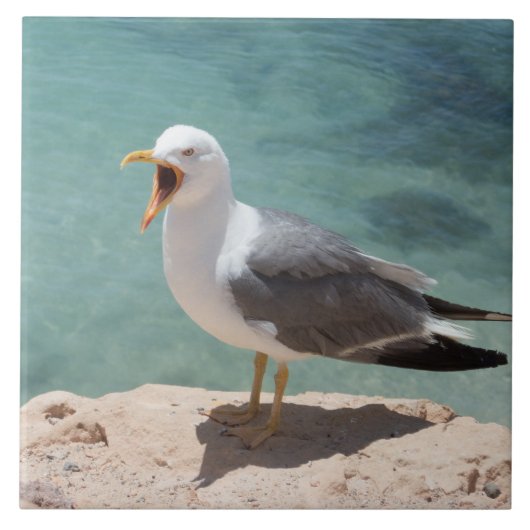 zeemeeuw tegeltje (Voorkant)