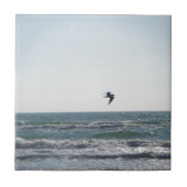 zeemeeuw tegeltje (Voorkant)