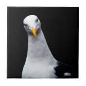 zeemeeuw tegeltje (Voorkant)