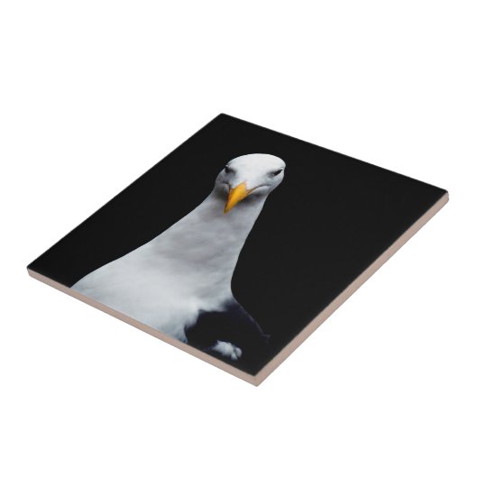 zeemeeuw tegeltje (Zijkant)