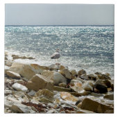 zeemeeuw tegeltje (Voorkant)