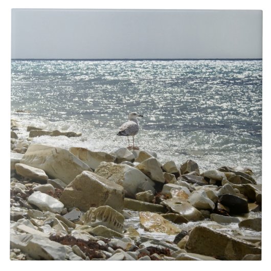 zeemeeuw tegeltje (Voorkant)