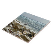 zeemeeuw tegeltje (Zijkant)