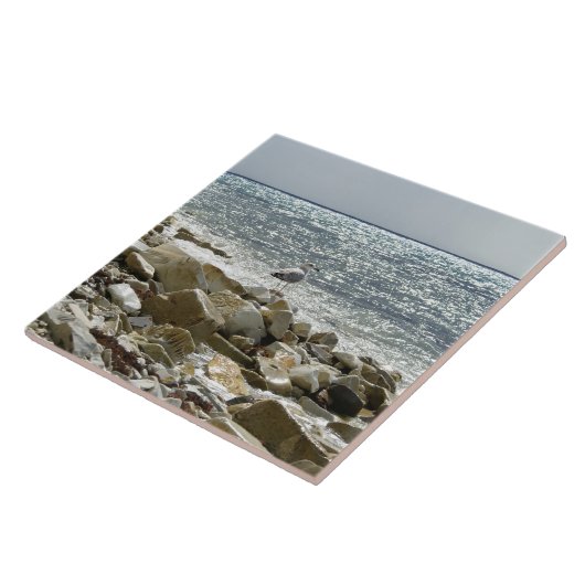 zeemeeuw tegeltje (Zijkant)