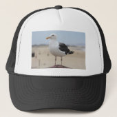 zeemeeuw trucker pet (Voorkant)