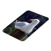 Zeemeeuw Verticale Flexibele Fotomagneet Magneet (Linkerzijde)