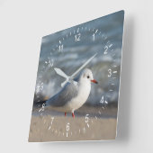 zeemeeuw vierkante klok (Hoek)