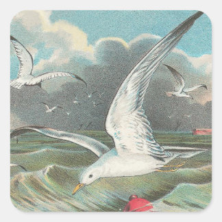 zeemeeuw vierkante sticker