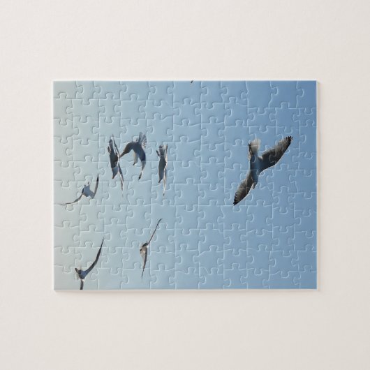 Zeemeeuw Vliegende puzzel (Horizontaal)