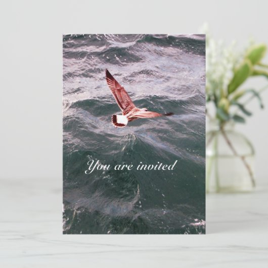 ZEEMEEUW VLIEGT OVER DE GOLVEN BRUILOFT OP HET STR KAART (Staand voorkant)