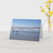 zeemeeuw wenskaart kaart (Gele Bloem)