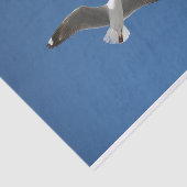 Zeemeeuw Wit Grijs Blauw Inspiratie Foto Tissuepapier (Detail)