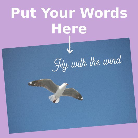 Zeemeeuw Wit Grijs Blauw Inspiratie Foto Tissuepapier