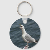 zeemeeuw zingt liefdesliedjes sleutelhanger (Voorkant)