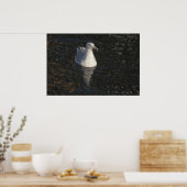 Zeemeeuw Zwemmen fine art print (Keuken)