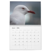 Zeemeeuwen 2026 kalender (Mar 2026)