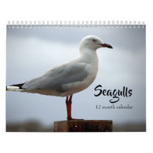 Zeemeeuwen 2026 kalender