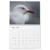 Zeemeeuwen 2026 kalender (Mar 2027)
