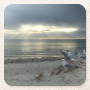 Zeemeeuwen aan het strand - Mooie Foto Onderzetter