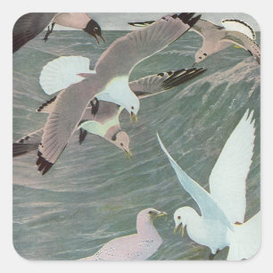 Zeemeeuwen boven oceaangolven door Louis Agassiz F Vierkante Sticker